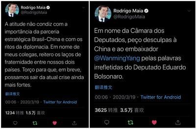 巴西总统的儿子是政治无赖！【狼烟又起！巴西外交部抗议】的作者是汉奸！