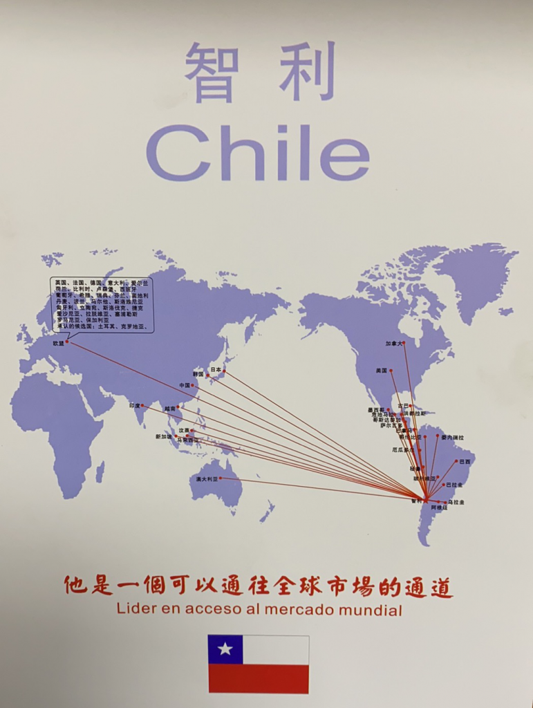 Porque invertir en Chile为什么投资智利？
