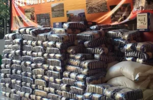 El segundo día de las actividades de ayuda humanitaria de los comerciantes chinos en las terribles inundaciones más graves de la historia de Chile.