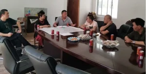 Coordinación de Asociaciones Chinas: Plan General para Solucionar Problemas de Seguridad en la Zona Mayorista de Santiago
