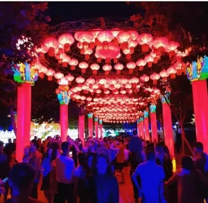 Embajada de China en Chile Celebra la Recepción del Año Nuevo Chino 2020