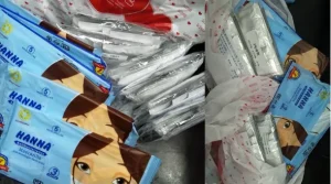 Lishui y Qingtian Envían Medicinas Tradicionales Chinas para Combatir el COVID-19 en Chile