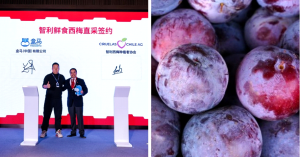 Cerezas chilenas podrán llegar directamente a los consumidores chinos