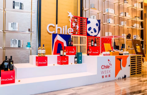 Semana Chile-China: El gobierno refuerza la red de colaboración con China